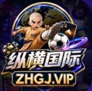 新开纵横国际